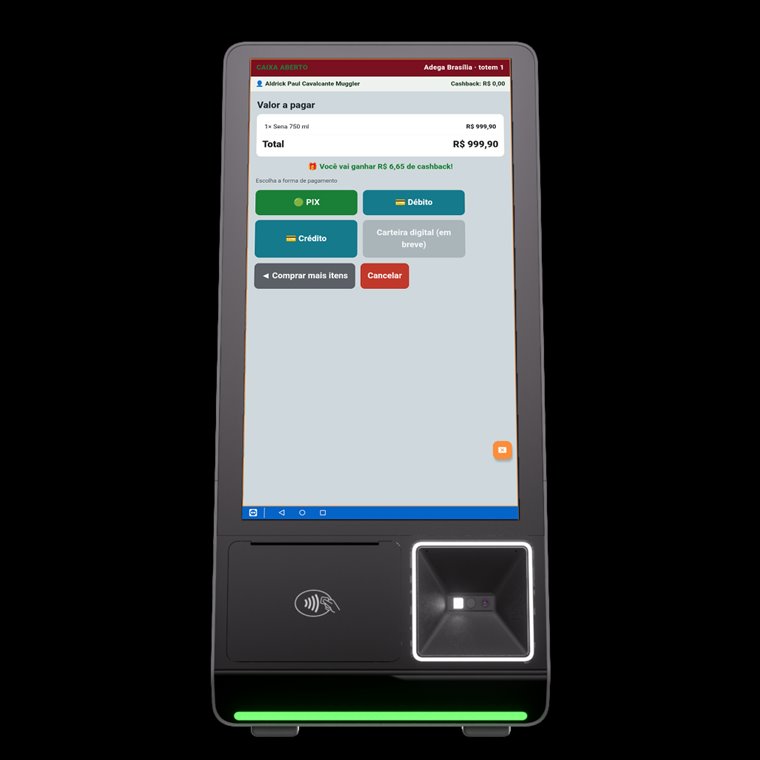Payment method selection on the kiosk: instant payment, debit and credit